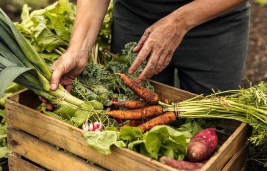 Mitos y verdades de los alimentos orgánicos