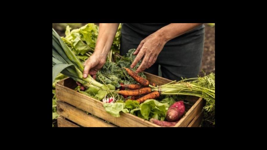 Mitos y verdades de los alimentos orgánicos