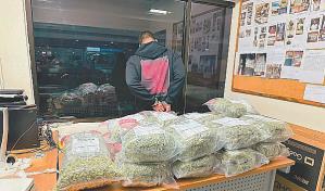 La "marihuana sintética" se abre espacio entre popis dominicanos