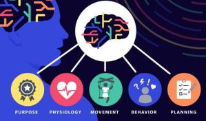 Descubren un vínculo literal entre cuerpo y mente en el cerebro