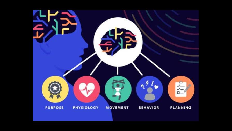 Descubren un vínculo literal entre cuerpo y mente en el cerebro Descubren un vínculo literal entre cuerpo y mente en el cerebro