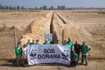 El parque natural del Doñana desata una guerra política por el agua en España