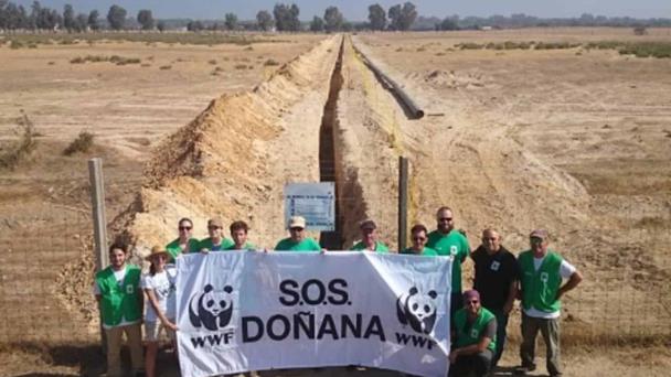 El parque natural del Doñana desata una guerra política por el agua en España