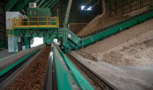 Biomasa: limitada por costos para generar electricidad, pero atractiva para la industria