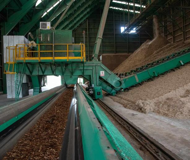 Biomasa: limitada por costos para generar electricidad, pero atractiva para la industria