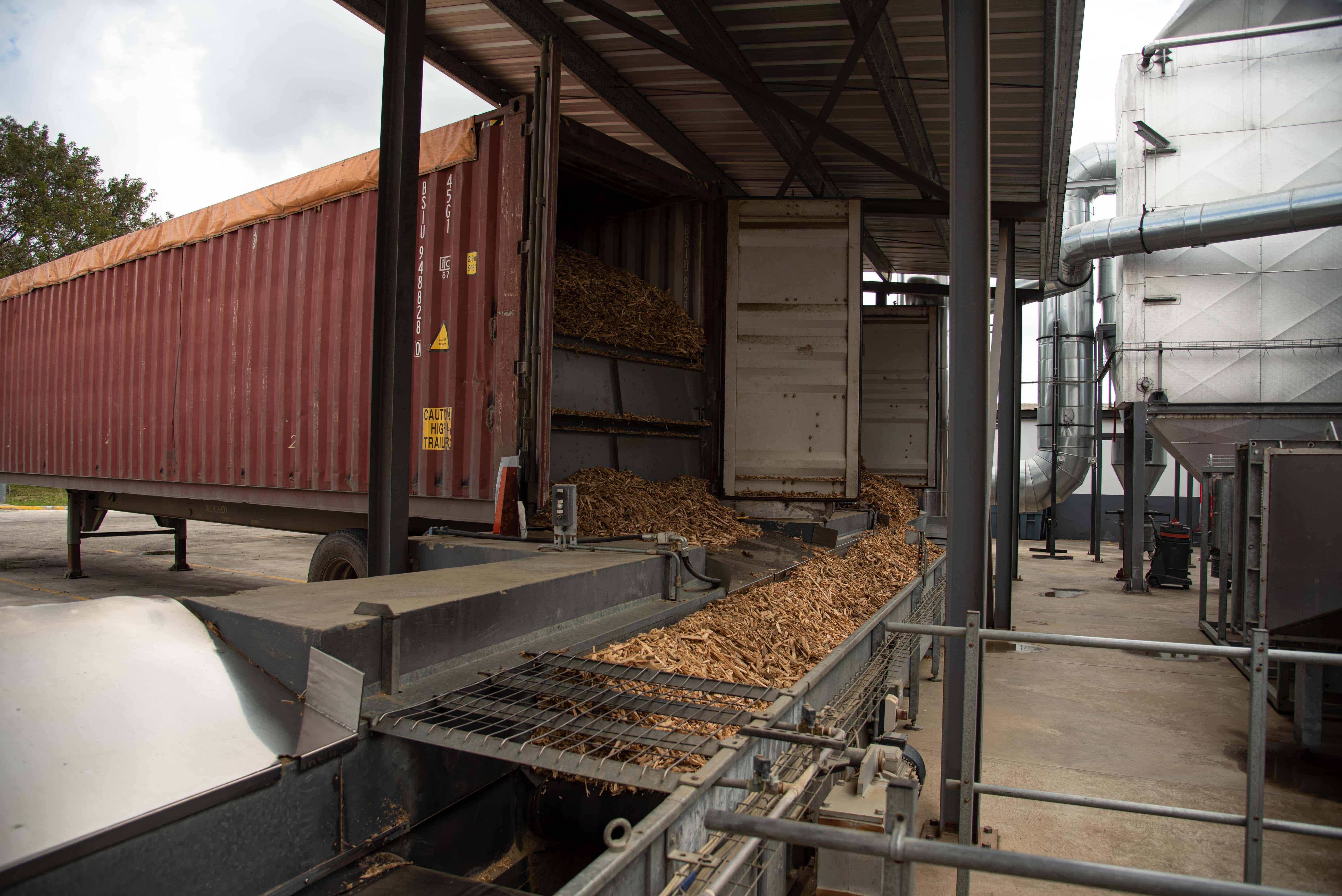 Descarga de astillas de madera de acacia en la parte trasera de la caldera de biomasa. Procesan hasta dos furgones de materia. 