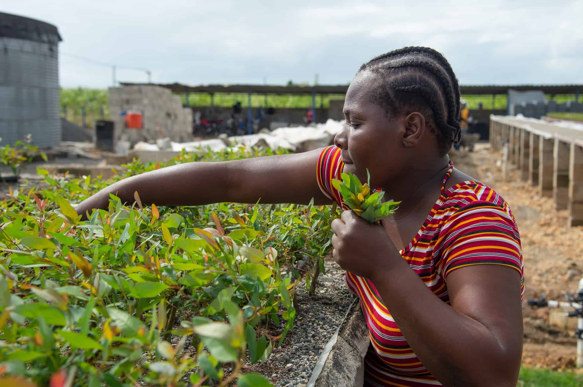 [object HTMLTextAreaElement]