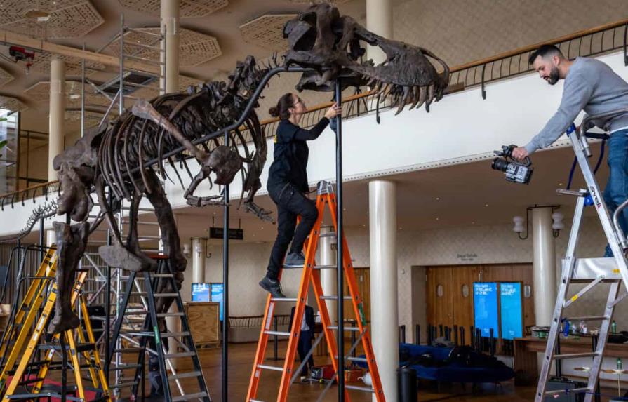 Una fundación compra el esqueleto de un T-Rex y lo exhibirá en Bélgica
