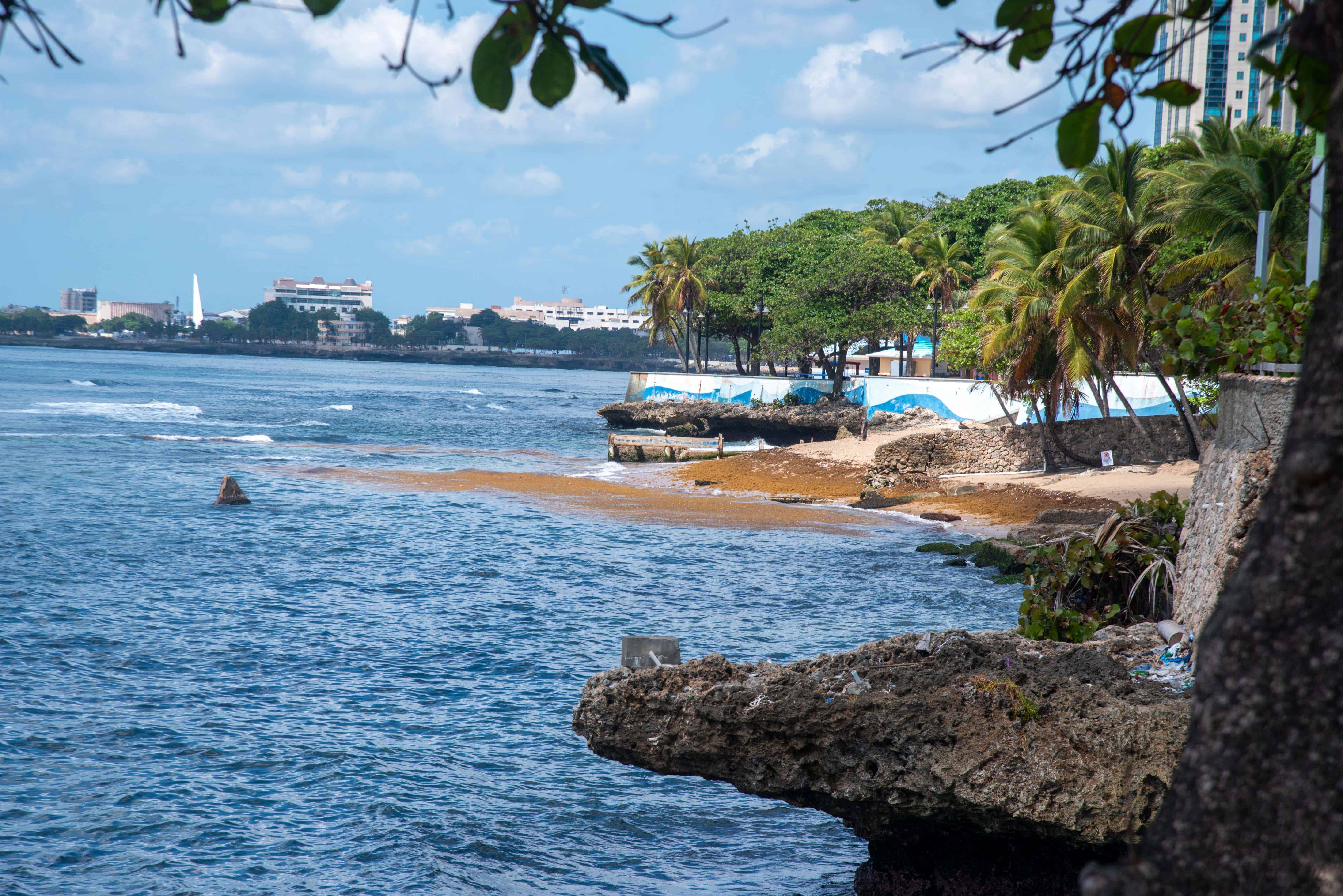 El sargazo se acumula en las aguas del malecón de Santo Domingo, el 23 de abril del 2023.
