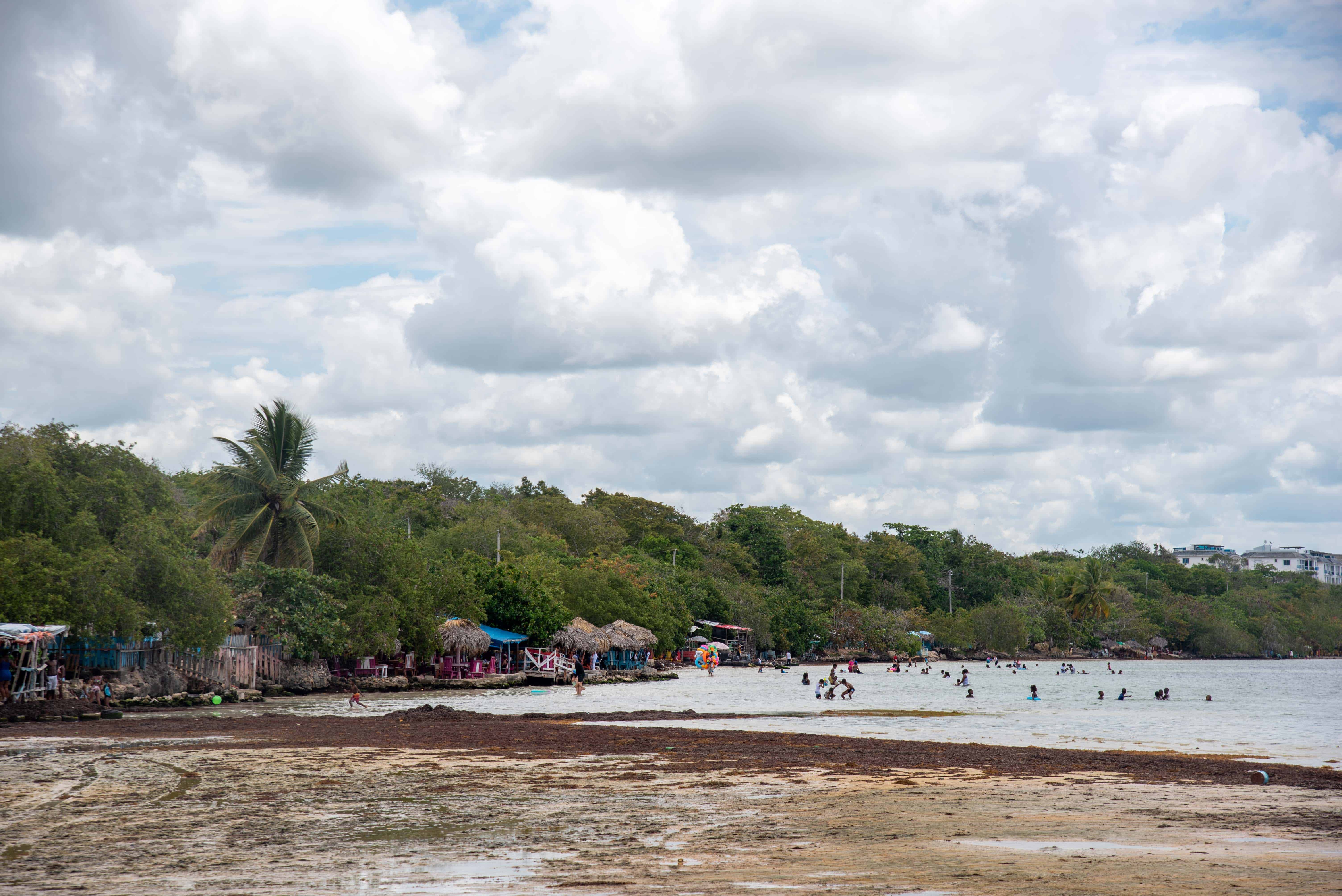 El sargazo no impidió que las personas se bañen este domingo 23 de abril de 2023 en la muy visitada playa de Boca Chica.