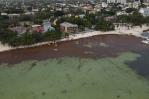 La playa de Boca Chica vuelve a llenarse de sargazo