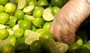 Bajan de precio 21 productos agropecuarios en mayo; el limón disminuye 30.3 %