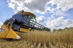 Ucrania pide que el acuerdo del grano continúe sin Rusia Ucrania pide que el acuerdo del grano continúe sin Rusia