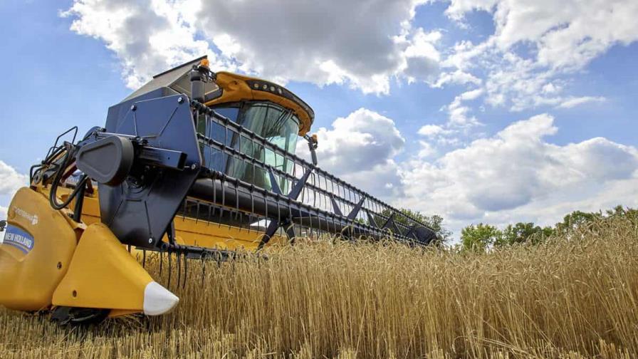 Los ministros de Agricultura de la UE se reúnen tras el abandono ruso del pacto del cereal