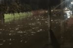 Una noche de terror en Las 800 tras inundaciones repentinas en el populoso barrio Una noche de terror en Las 800 tras inundaciones repentinas en el populoso barrio
