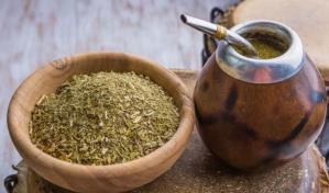 Conoce las propiedades del mate