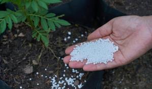 Evaluar&aacute;n si contin&uacute;a o no el subsidio a los fertilizantes