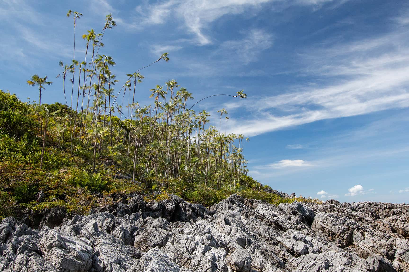 [object HTMLTextAreaElement]