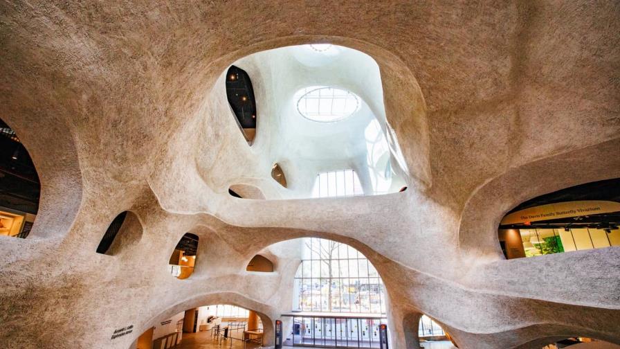 Museo Historia Natural de Nueva York estrena su nueva ala, un hito arquitectónico Museo Historia Natural de Nueva York estrena su nueva ala, un hito arquitectónico