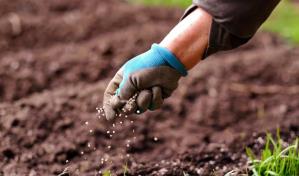 Precios de los fertilizantes se mantendr&aacute;n hasta que se analice informe de importadoras