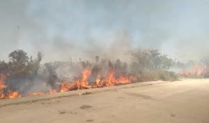 Evacuan liceo Francisco del Rosario Sánchez debido a un incendio forestal en Verón