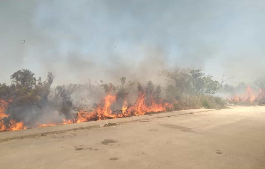 Evacuan liceo Francisco del Rosario Sánchez debido a un incendio forestal en Verón