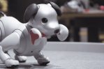 Robots para abrazar, ¿llevarías un mascota robótica a tu casa? Robots para abrazar, ¿llevarías un mascota robótica a tu casa?