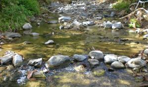 Desmantelan construcciones ilegales en parque ecológico de San Francisco de Macorís