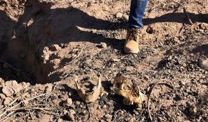 Hallan 26 cuerpos en fosas clandestinas en oeste de M&eacute;xico