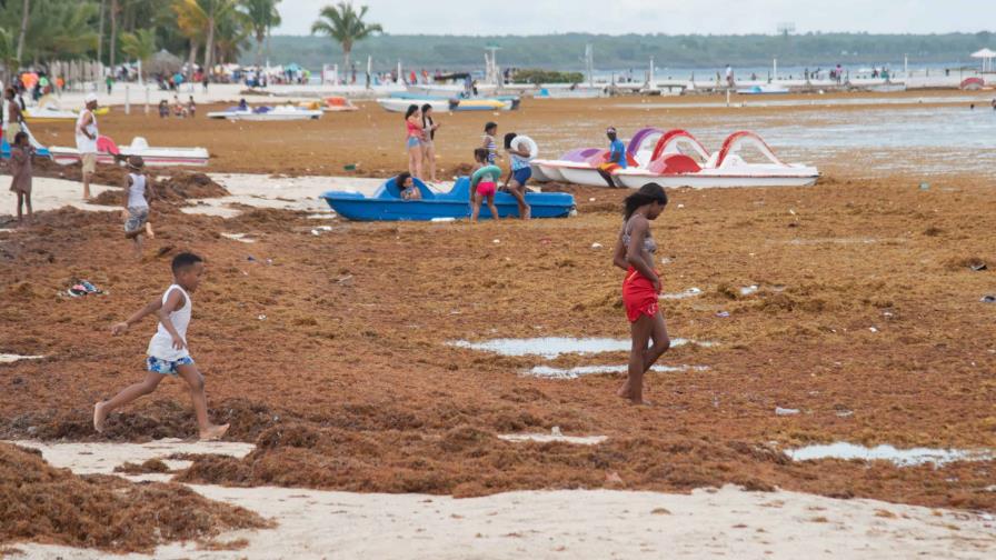 ¿Cuáles son las playas que se prevén libres de sargazo este fin de semana?