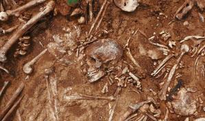 Hallan 26 cadáveres en fosas clandestinas en el oeste de México 