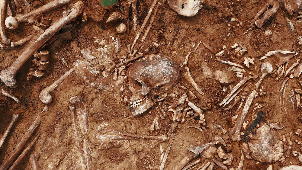 Hallan 26 cadáveres en fosas clandestinas en el oeste de México 
