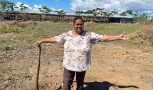 Turba de supuestos invasores agrede mujer para despojarla de terrenos en Montecristi