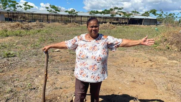 Turba de supuestos invasores agrede mujer para despojarla de terrenos en Montecristi