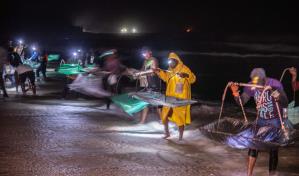 Autoridades de RD luchan contra el contrabando de anguila desde Haití