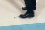 VIDEO| La cucaracha que desfiló por la alfombra de la Met Gala VIDEO| La cucaracha que desfiló por la alfombra de la Met Gala