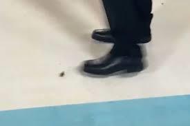 VIDEO| La cucaracha que desfiló por la alfombra de la Met Gala