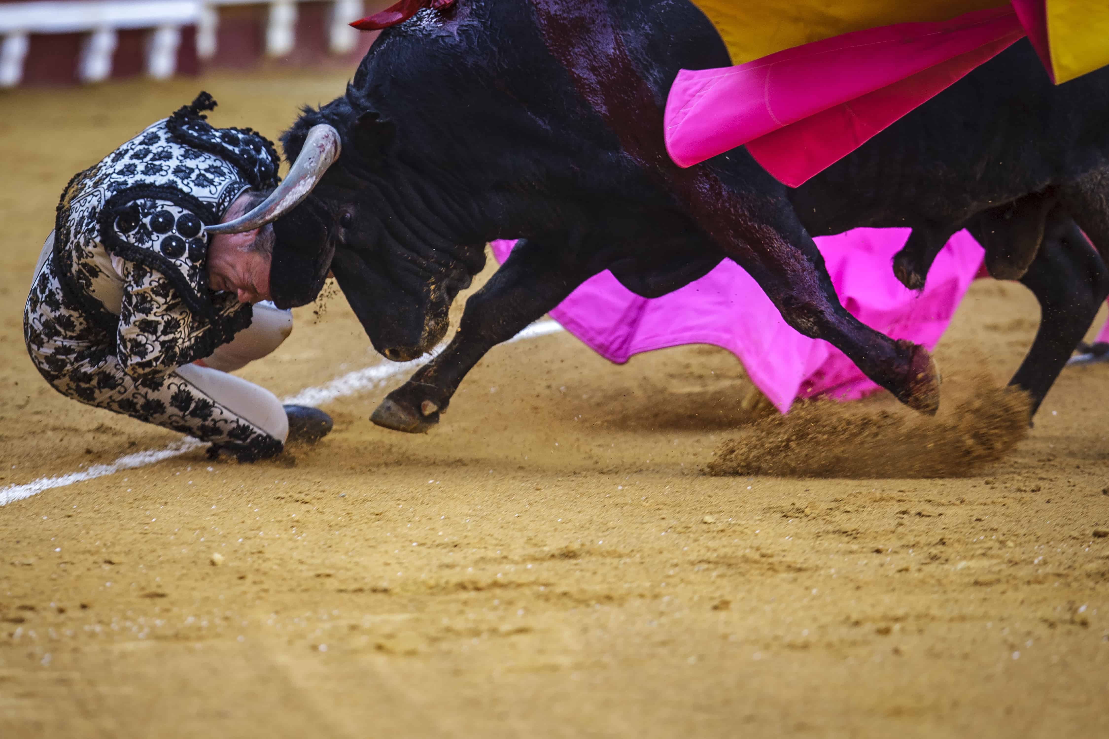 Mención en  la categoría  Internacional.