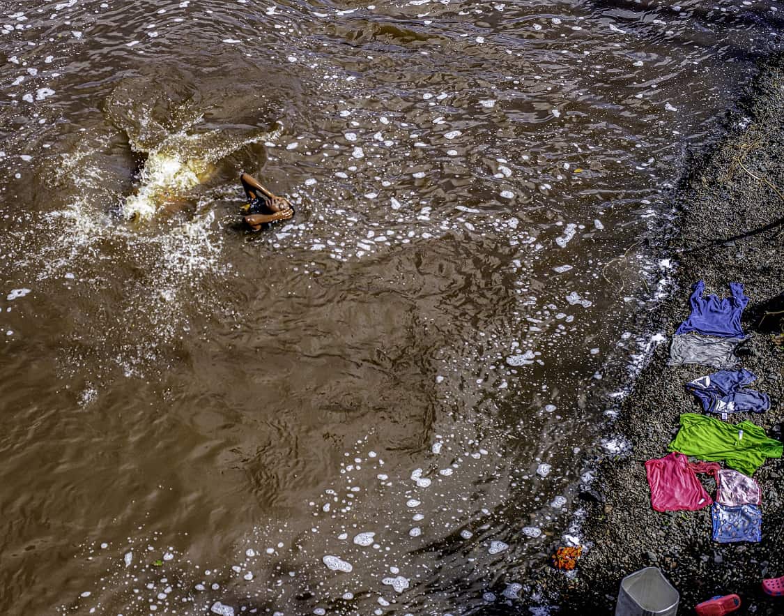 Primer Premio en la categoría Medio Ambiente