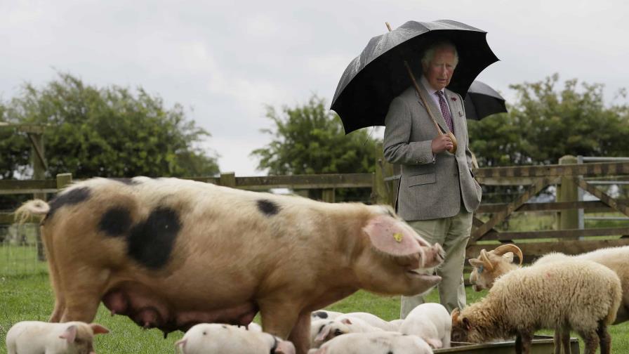 Carlos III, el rey ecologista, destacará su amor por la naturaleza en su coronación
