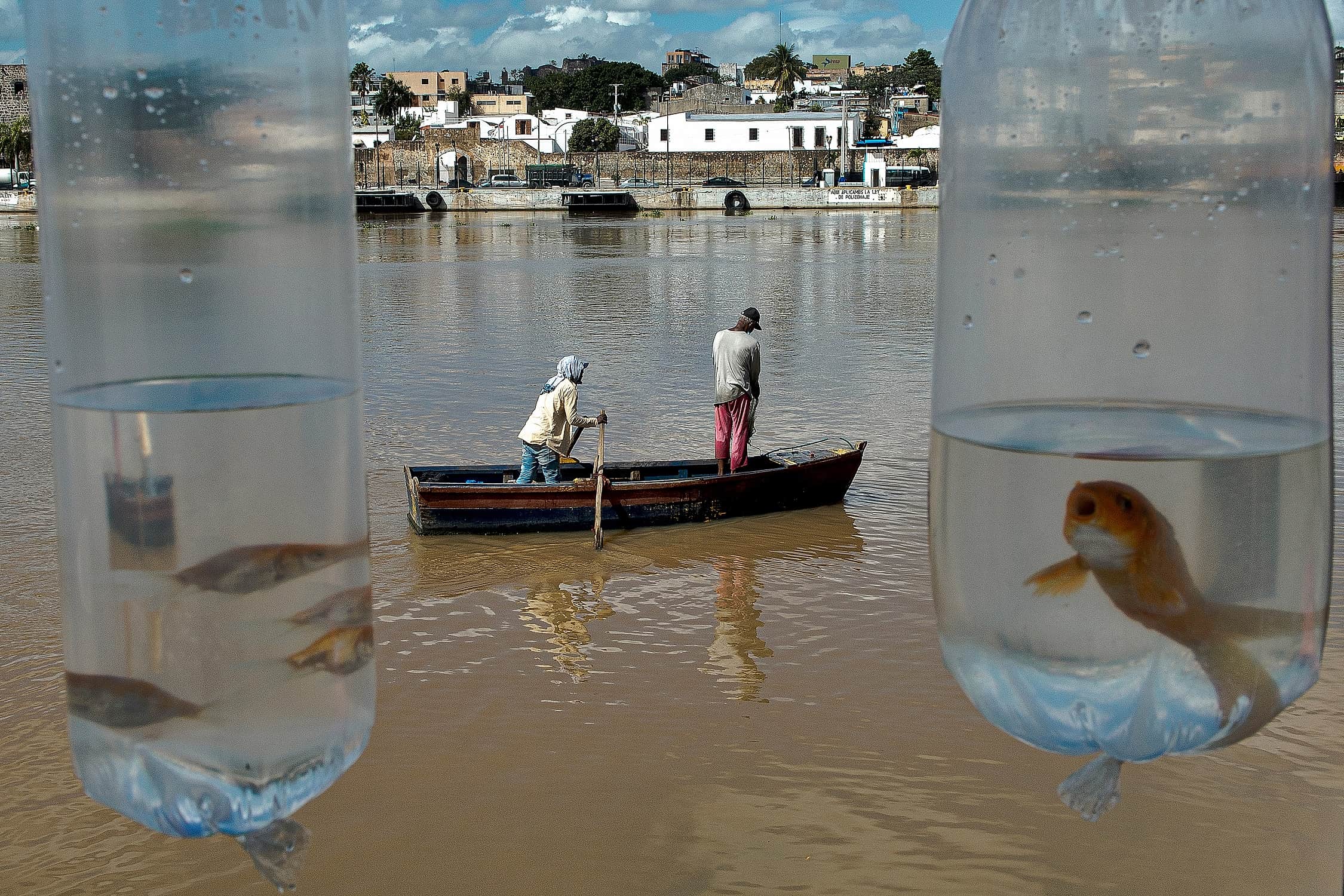 Primer Premio Vida Diaria.