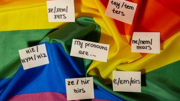 Aprueban proyecto de ley que prohíbe el uso de pronombres que no correspondan al sexo de nacimiento
