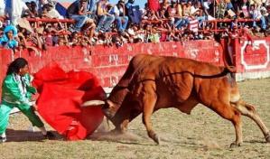 Inician las corridas de toros en El Seibo