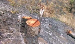 En Peralvillo se unen para defender área protegida en la Loma Los Siete Picos