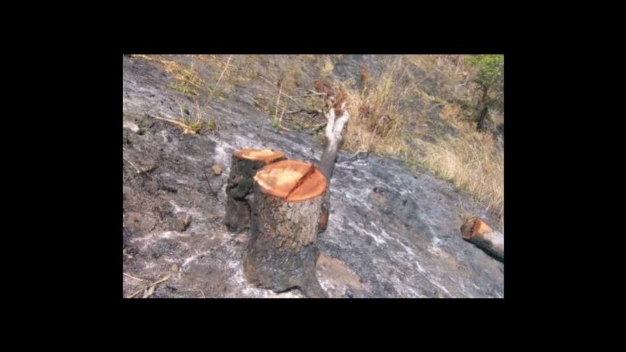 En Peralvillo se unen para defender área protegida en la Loma Los Siete Picos En Peralvillo se unen para defender área protegida en la Loma Los Siete Picos