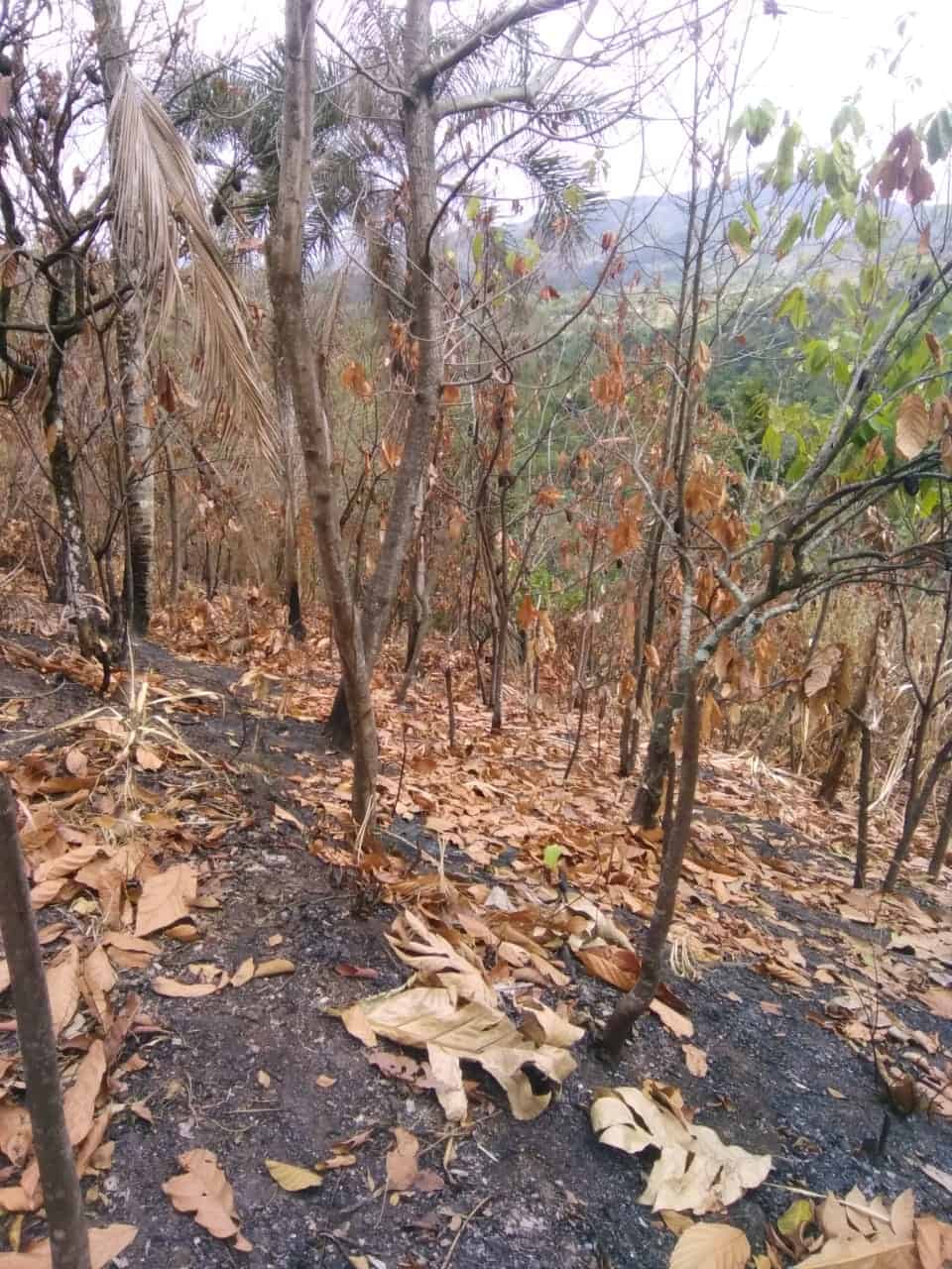 En la zona nacen 37 yacimiento acuíferos.