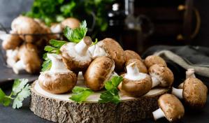 Las setas comestibles, un alimento saludable