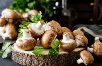 Las setas comestibles, un alimento saludable