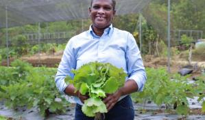 FAO destaca avances de agricultores de Villa Poppy, apoyados por Supérate