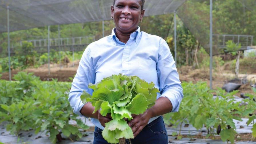 FAO destaca avances de agricultores de Villa Poppy, apoyados por Supérate FAO destaca avances de agricultores de Villa Poppy, apoyados por Supérate